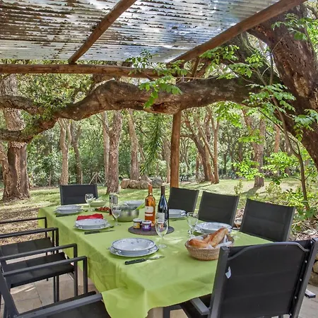 E Fiamone *